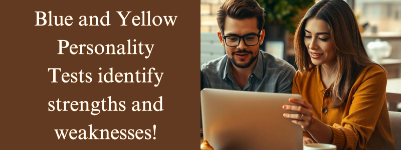 https://personalitymindful.com/2024/10/11/what-are-the-benefits-of-the-blue-yellow-personality-test/